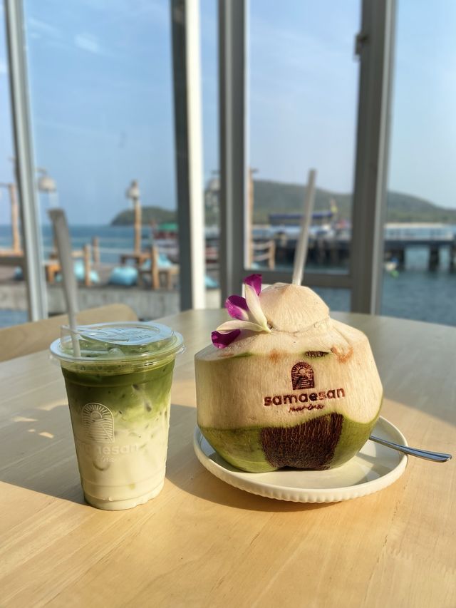 แสมสารมารีน่า 🌊