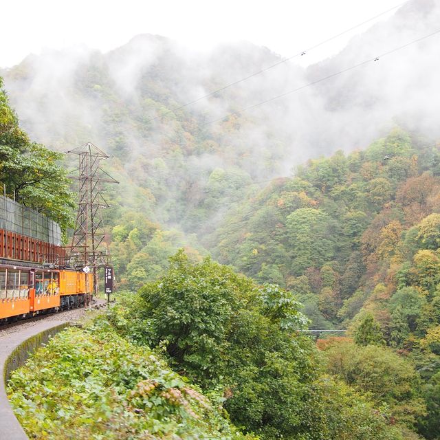 【黒部】黒部峡谷トロッコ列車