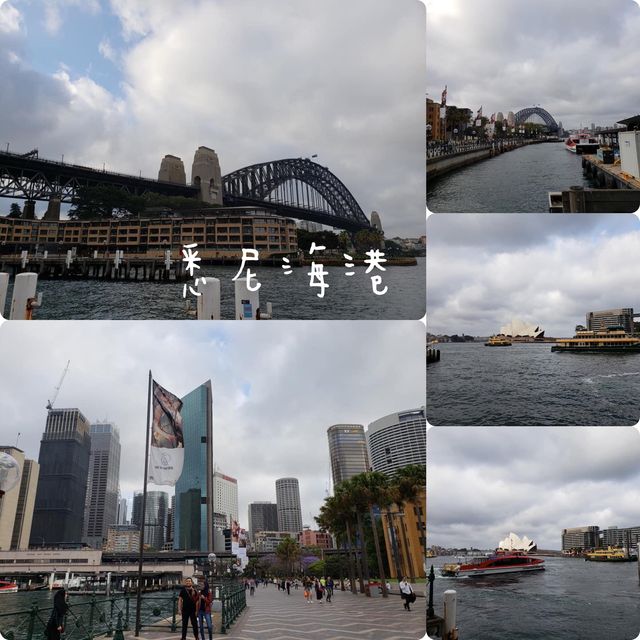 澳洲🦘悉尼海港✅遊客最鍾意❤️打卡位歌劇院最令影相📸️位