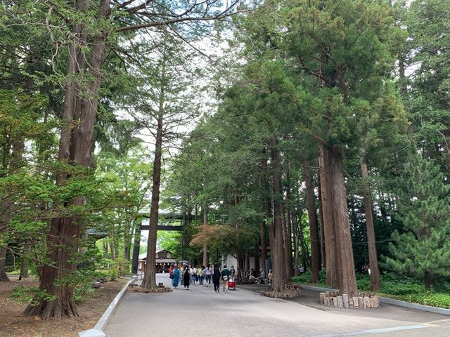 札幌　札幌観光　札幌まつりがいよいよ開催！