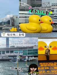 橡皮鴨番尼啦🥹維多利亞港最新打卡位❤️童年小黃鴨😎