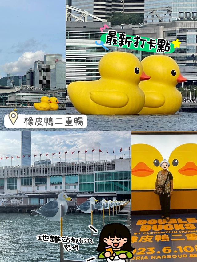 橡皮鴨番尼啦🥹維多利亞港最新打卡位❤️童年小黃鴨😎