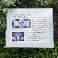 宮城松島「円通院」日本庭園が美しい