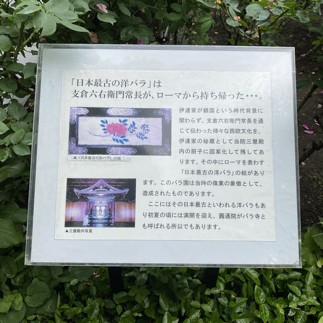 宮城松島「円通院」日本庭園が美しい