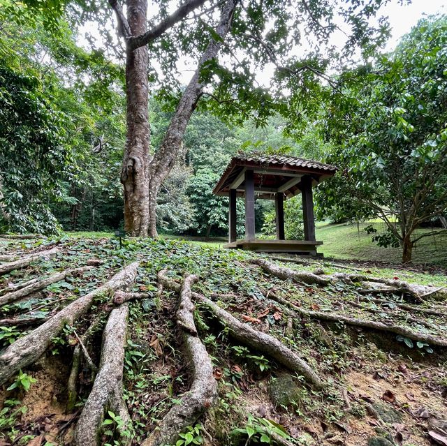 Penang Botanical Garden - a treasure for all