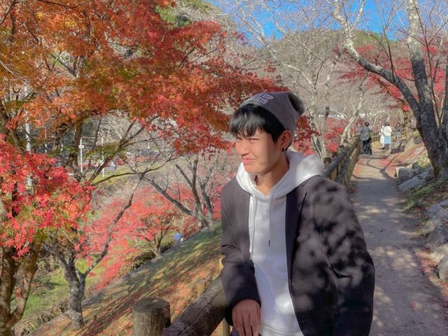 ตะลุยเที่ยวใบไม้เปลี่ยนสีพร้อมซากุระ 2 ฤดู Obara