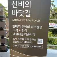 진도쏠비치에서 올인클루시브🏰