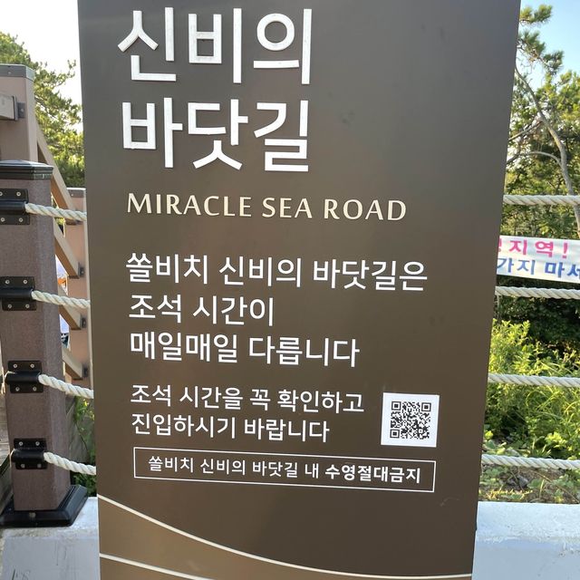 진도쏠비치에서 올인클루시브🏰
