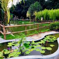 World Farm & Hua Hng Jurong Gardening 