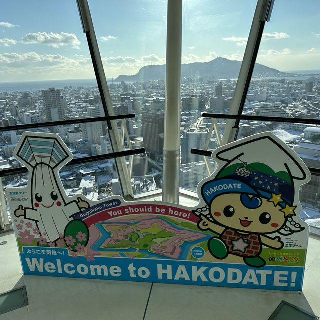 【函館】五稜郭を一望！五稜郭タワー！