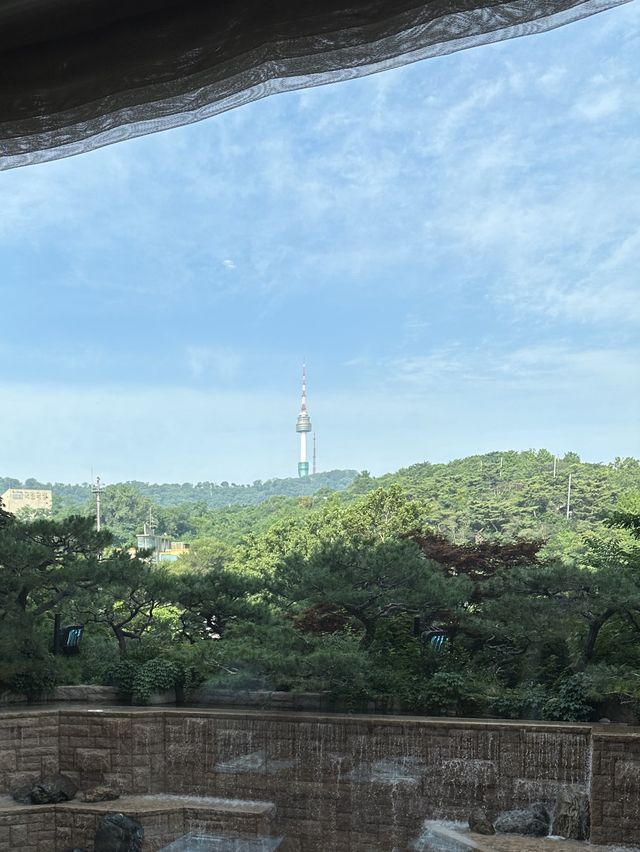 남산타워뷰로 즐기는 더 파크뷰🌱