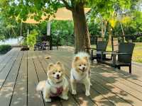 คาเฟ่ริมน้ำ+การเรียนรู้เชิงวนเกษตร อัมพวา