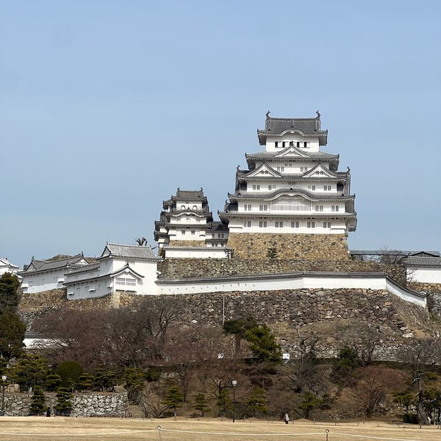 姫路城と神戸牛