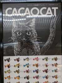 【美味しすぎるチョコ】北海道産のCACAOCAT