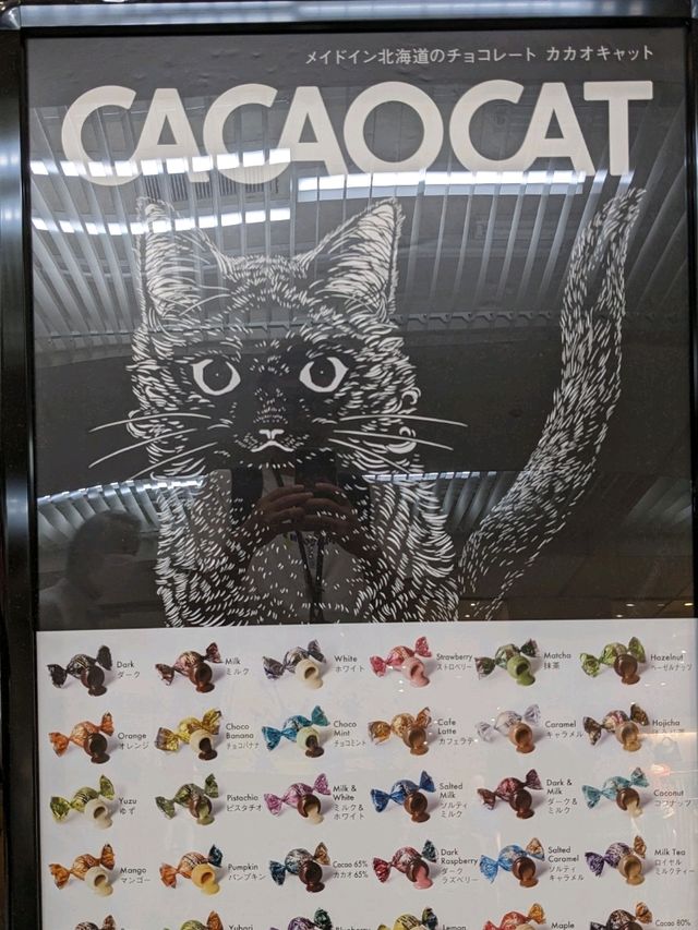 【美味しすぎるチョコ】北海道産のCACAOCAT