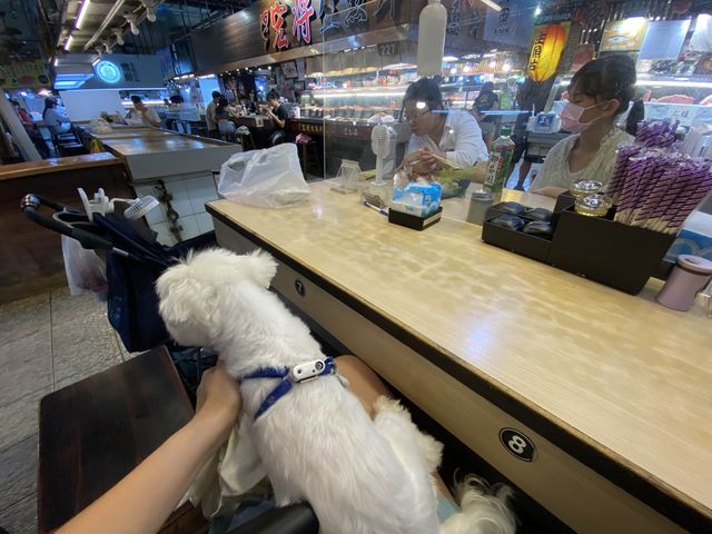 東港華僑市場必吃的黑鮪魚
