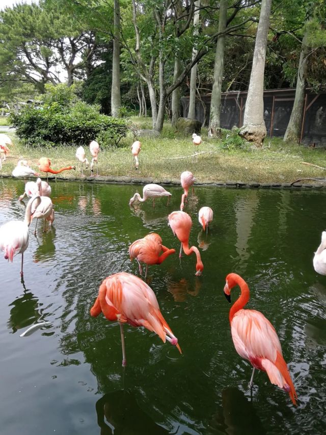 海之中道海濱公園