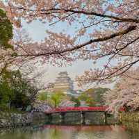 世界遺産　姫路城