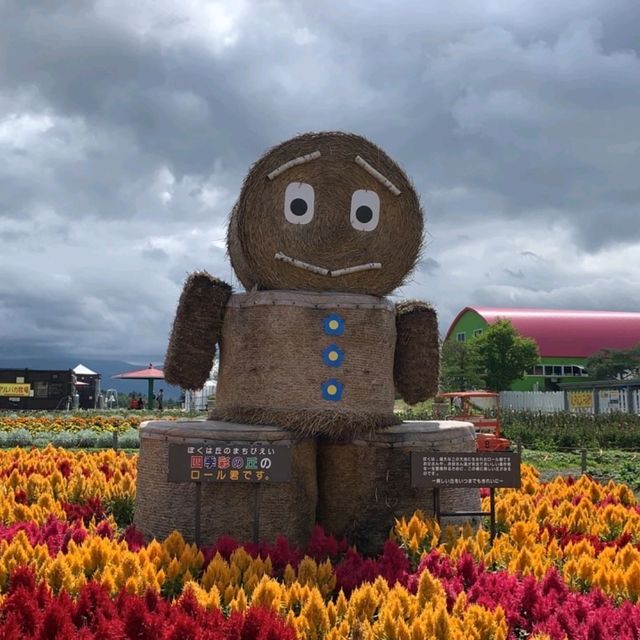 北海道必去景點之一
💜四季彩之丘