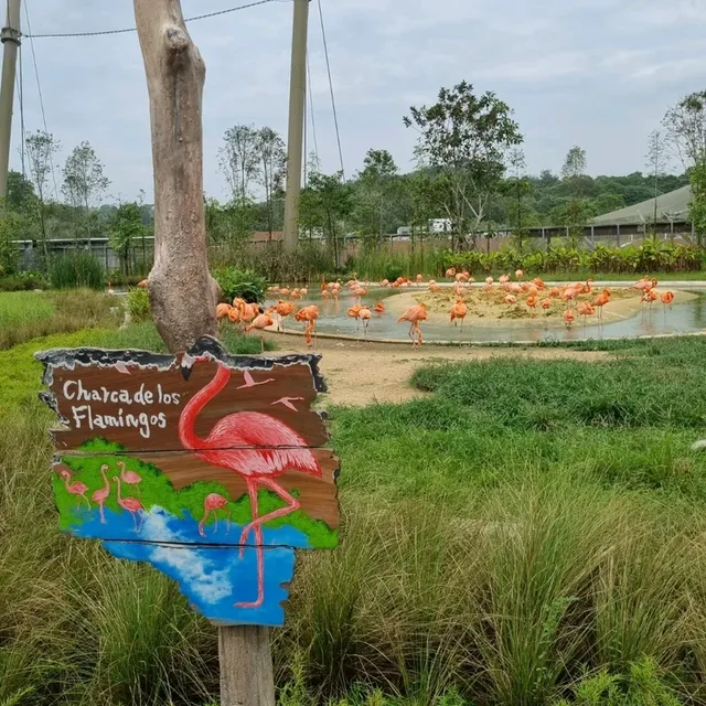 Singapore's Largest Bird Paradise 🦜🐦