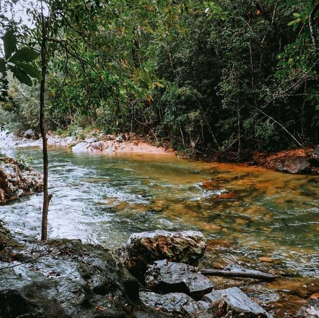 เกาะช้างไม่ได้มีดีแค่ทะเล 🏞🌿