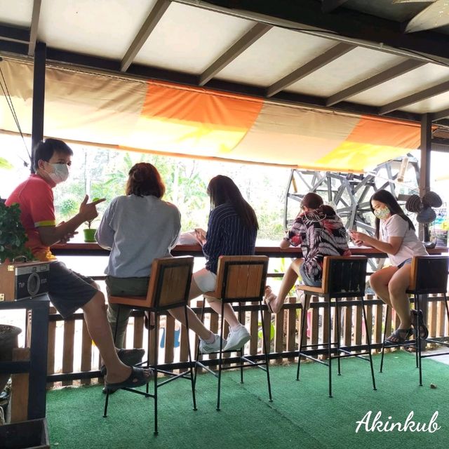 check in คาเฟ่