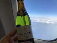 宮崎　宮崎観光　宮崎ブーゲンビリア空港から伊丹空港へANA premium classで快適フライト！