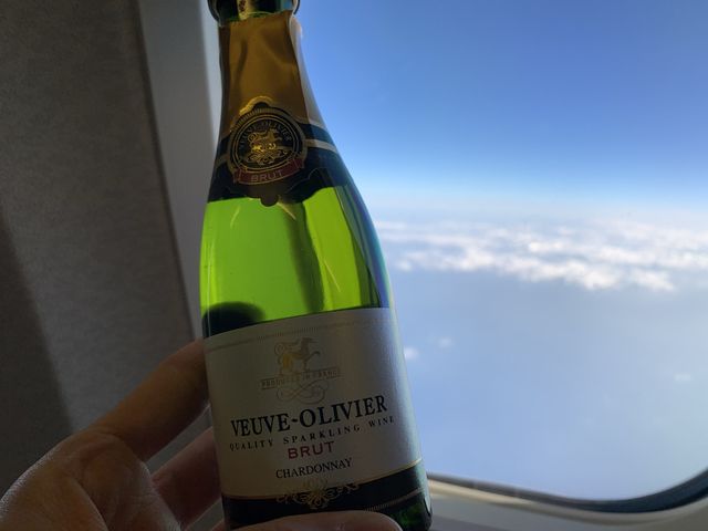 宮崎　宮崎観光　宮崎ブーゲンビリア空港から伊丹空港へANA premium classで快適フライト！