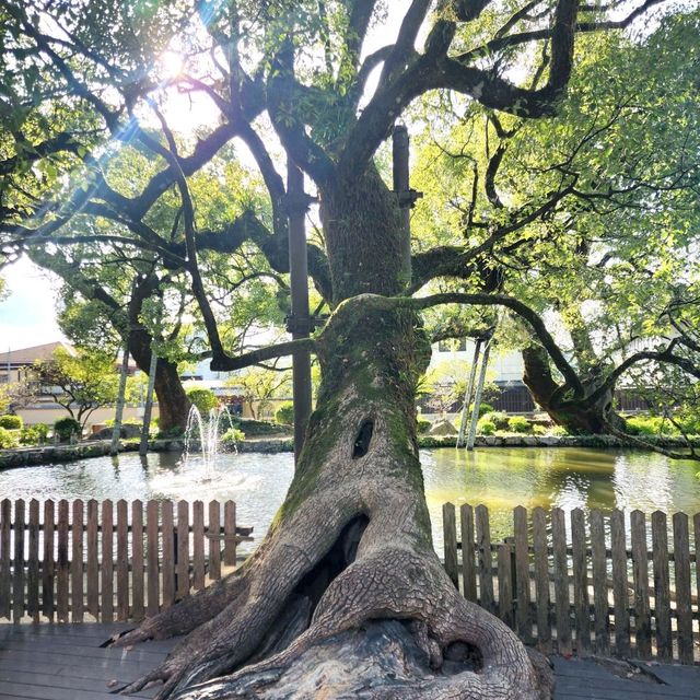 Autumn walk through Dazaifu