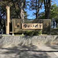 金シャチ横丁義直ゾーン！伝統・正統！まるで江戸時代の町並みグルメ街