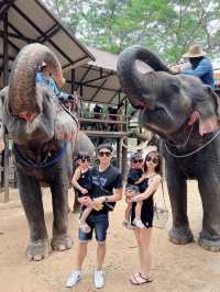 芭達雅景點 大象園  Pattaya evephant 泰國
