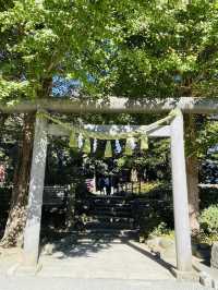 【神奈川県/葛原岡神社】赤い糸を結んで良縁を！