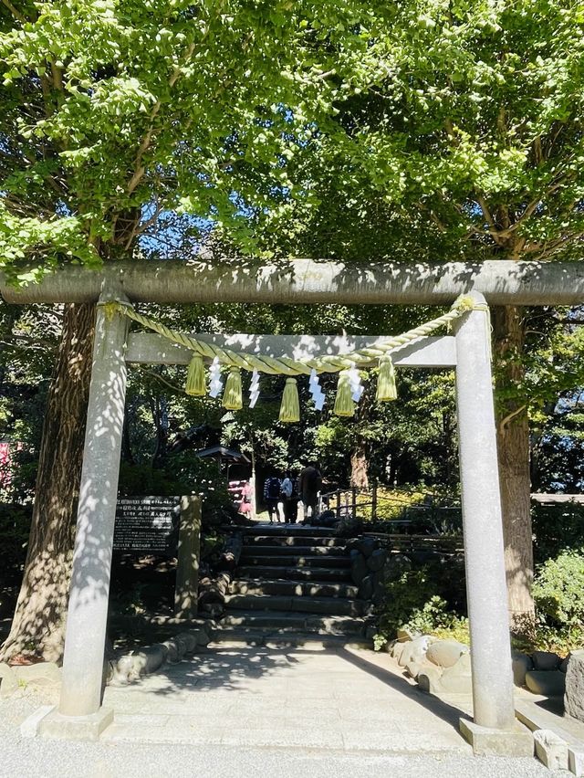 【神奈川県/葛原岡神社】赤い糸を結んで良縁を！