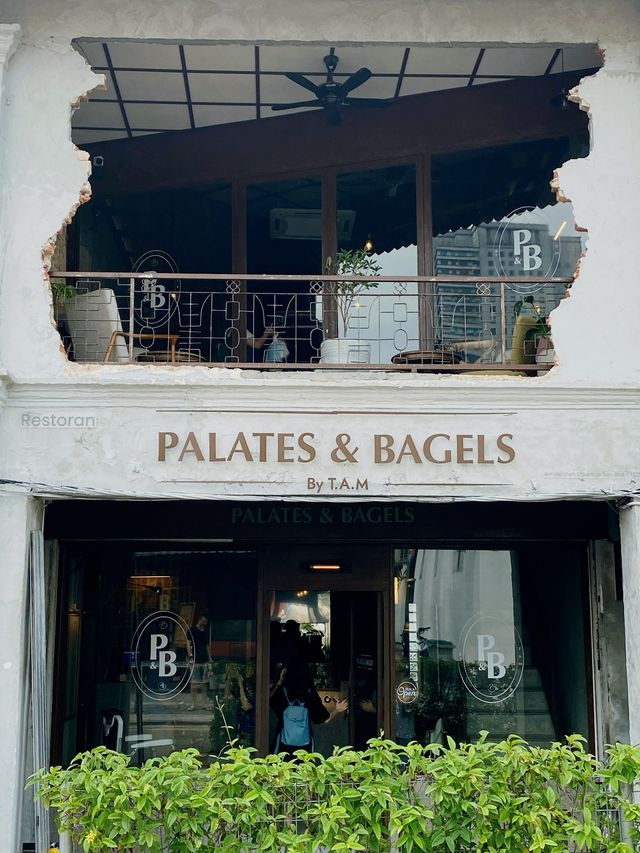 Palates & Bagel 🥯 