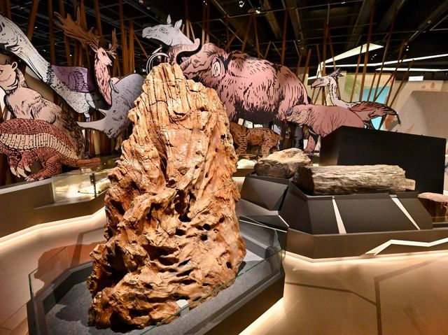 香港科學館古生物展廳「滅絕．新生」展覽展出珍貴動植物化石
