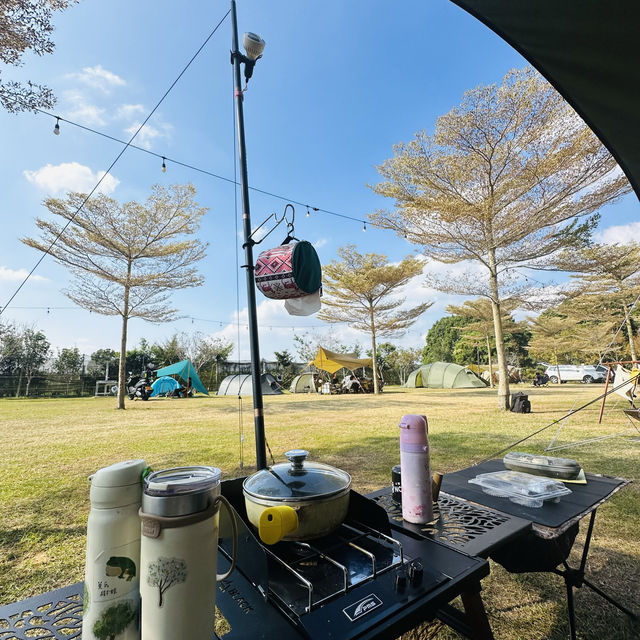 卓蘭山林野地露營區