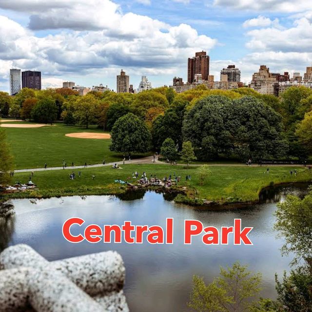 Connect with Nature - Central Park 🏞️