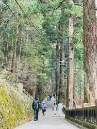 【群馬県/榛名神社】2023年行ってよかった！群馬県の神社③