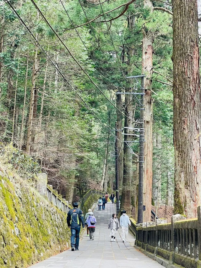 【群馬県/榛名神社】2023年行ってよかった！群馬県の神社③
