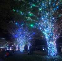 Magical Illuminations at Roppongi