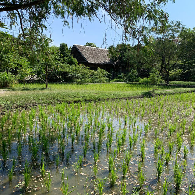 แวะมาสัมผัสลมหนาว ต้นไม้ ดอกไม้สวย ที่สวนสามพรานกั