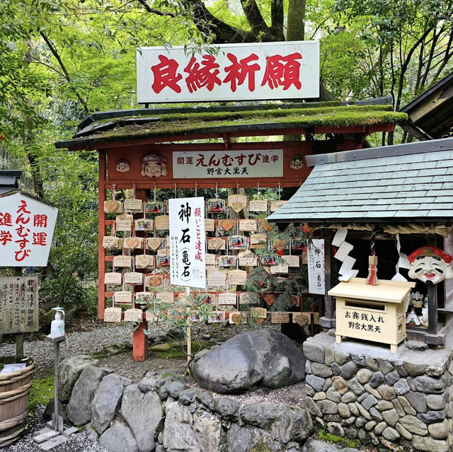 สวนป่าไผ่อาราชิยาม่า Arashiyama, Kyoto