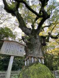 愛知名古屋神話の息づく熱田神宮