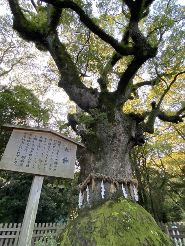 愛知名古屋神話の息づく熱田神宮 愛知名古屋神話の息づく熱田神宮