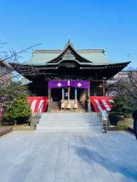 【東京都/桜神宮】正月の余韻残る参拝