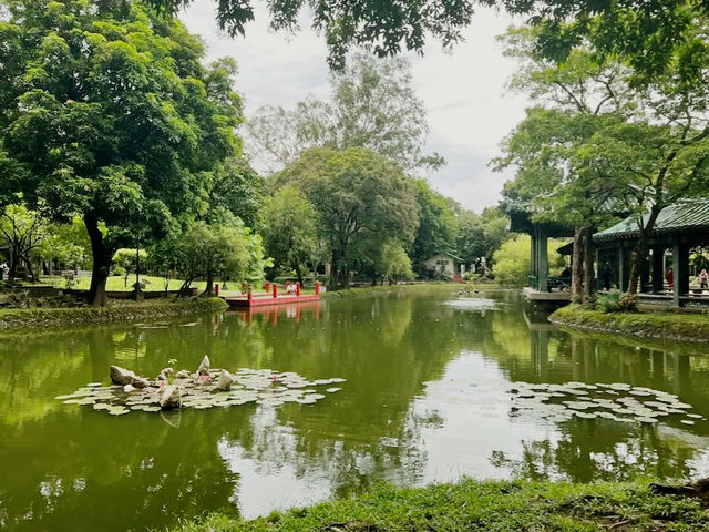 Chinnese Garden