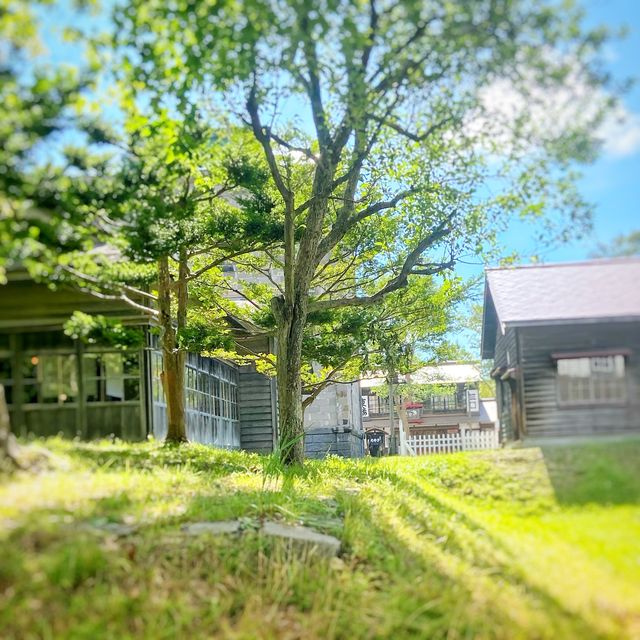 北海道の開拓時代の建物の博物館