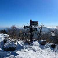 영남알프스 8봉 신불산 영축산 최단코스, 눈 산행