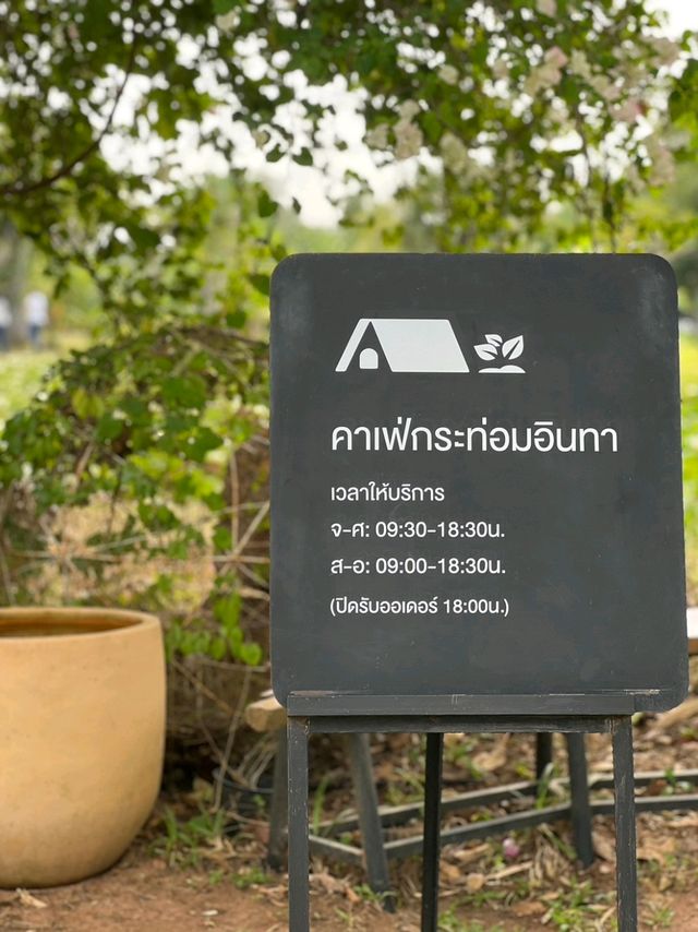 Kratom Inthra ริมทะเลสาบ 