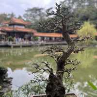 深圳仙湖植物園，愛花人士必到景點